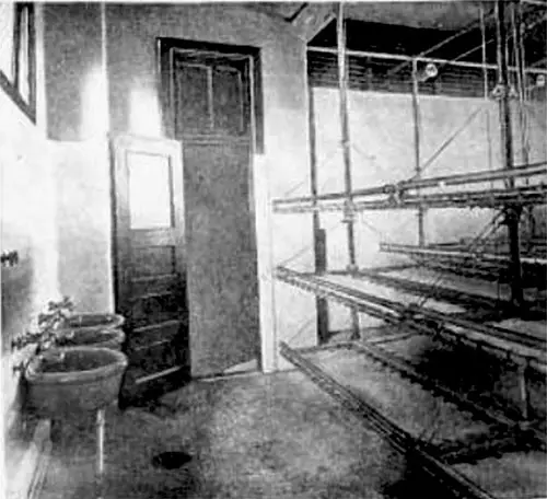 Bunks and Wash Basins in the Dormitory for Women and Children at Ellis Island.