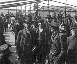 Immigrants Held Under Detention at Ellis Island.