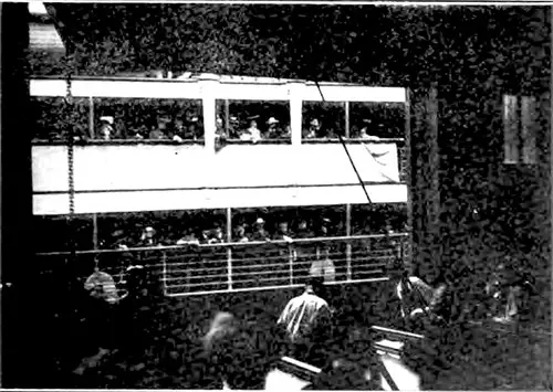 Cabin Passengers Waiting for the Gang Plank to be Lowered at Plymouth.