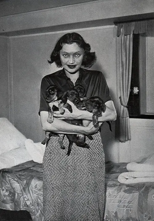 Katharine Cornell and Her Dogs in Her Stateroom on the SS Bremen.