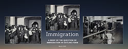 GGA Image ID # 161595014d A Brief of the Question of Immigration in Outline Form - 1915