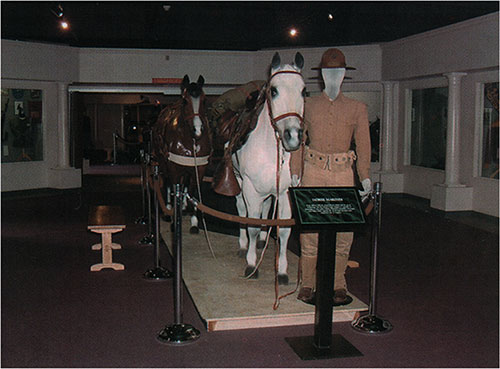 Marine Calvary Display at MCRD San Diego.