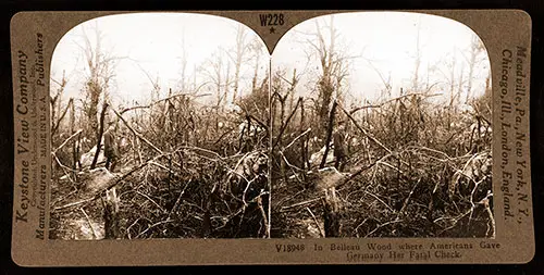 In Belleau Wood Where Americans Gave Germany Her First Fatal Check. Photographed Between 1914 and 1918, published 1923.