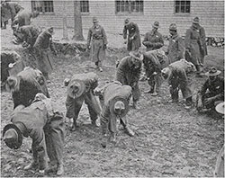 The 3rd OTC Cadets Learn how to Scavenge the Grounds at Camp Devens.