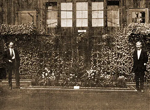 YMCA Public Gardens Entered in Prize Contest of the Ruhleben Horticultural Society, August 1917.