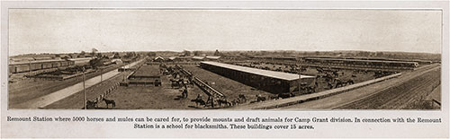 Remount Station where 5000 horses and mules can be cared for, to provide mounts and draft animals for Camp Grant division.