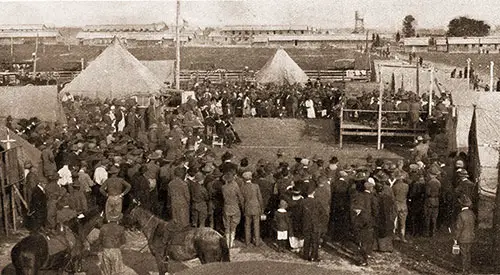 Lieut. Europe’s Band Played Every Day and Was a Center of Attraction Sundays