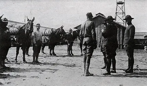 General Scott, Commander of Camp Dix. Inspecting Army Mules.