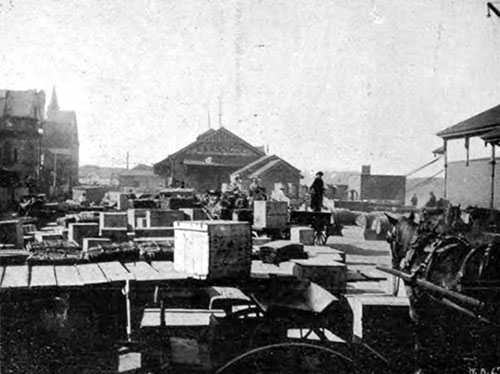 Street Outside White Star Line Wharf - Sydney, New South Wales in 1907